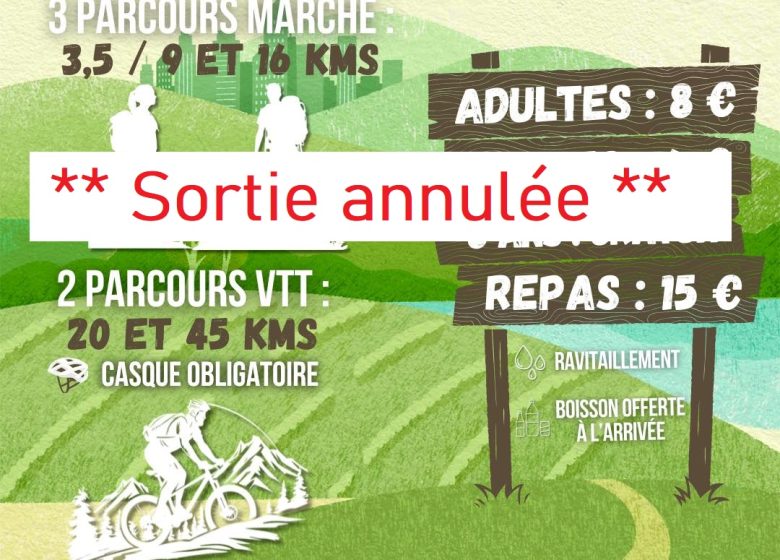 Rando des Vignes