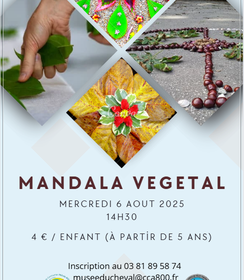Atelier enfant – Mandala végétal