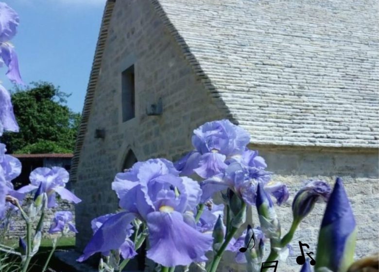 Lucioles
