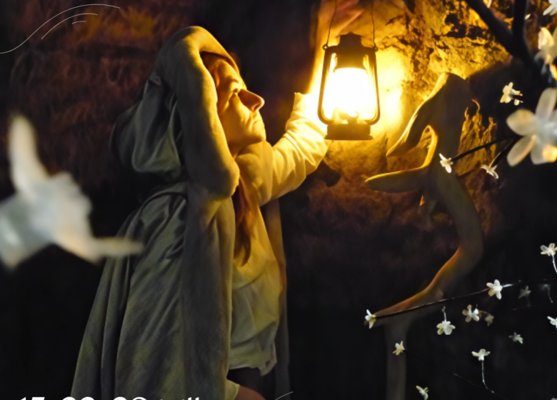 L’Eclat de l’Or Blanc : un conte en lumière à la saline