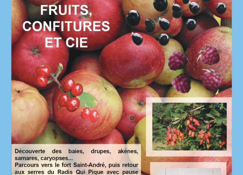 La graine et le fruit
