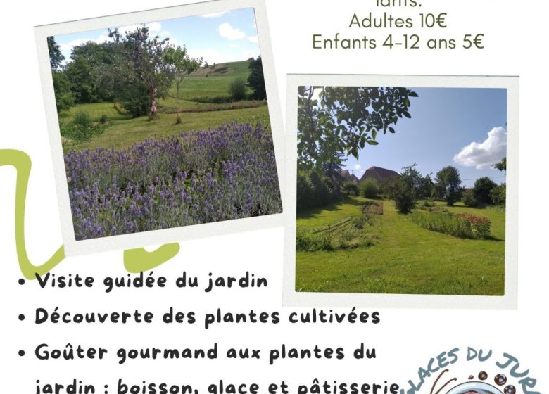 Visite gourmande aux plantes
