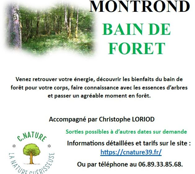Bain de forêt – Sylvothérapie