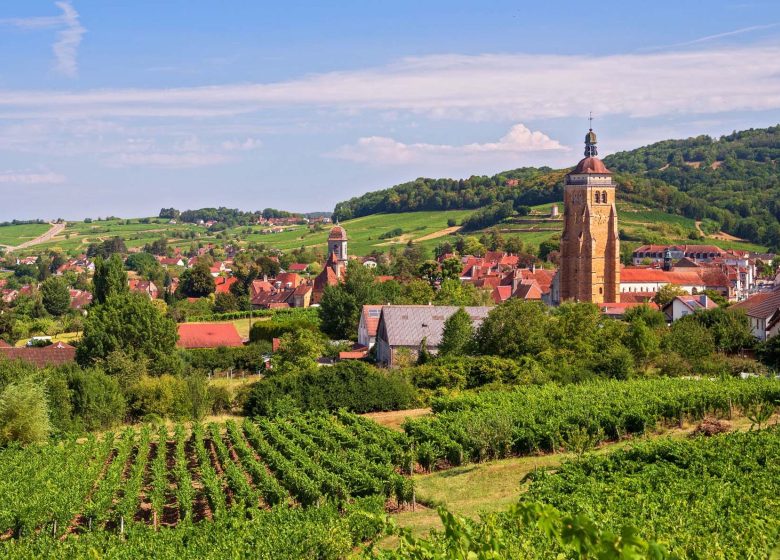 ARBOIS