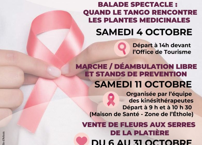 Vente de fleurs pour Octobre Rose