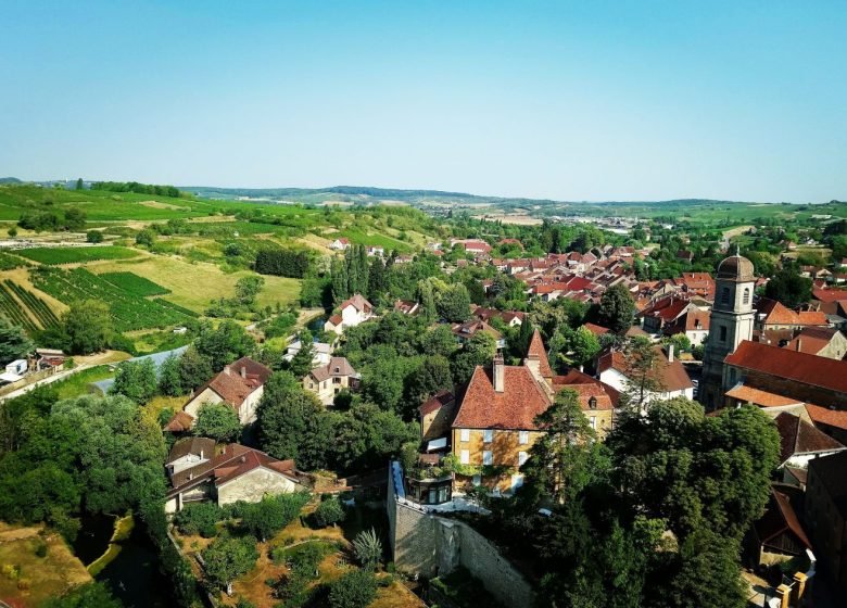 Balades entre les vignes : Arbois