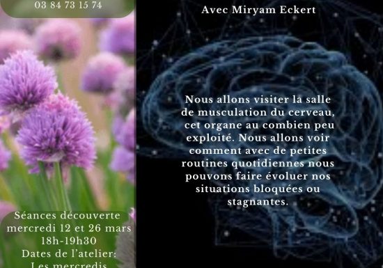Muscler son cerveau