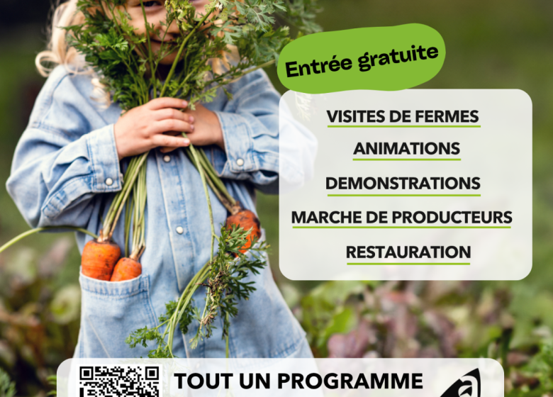 Visite de cave et dégustation au Château Béthanie