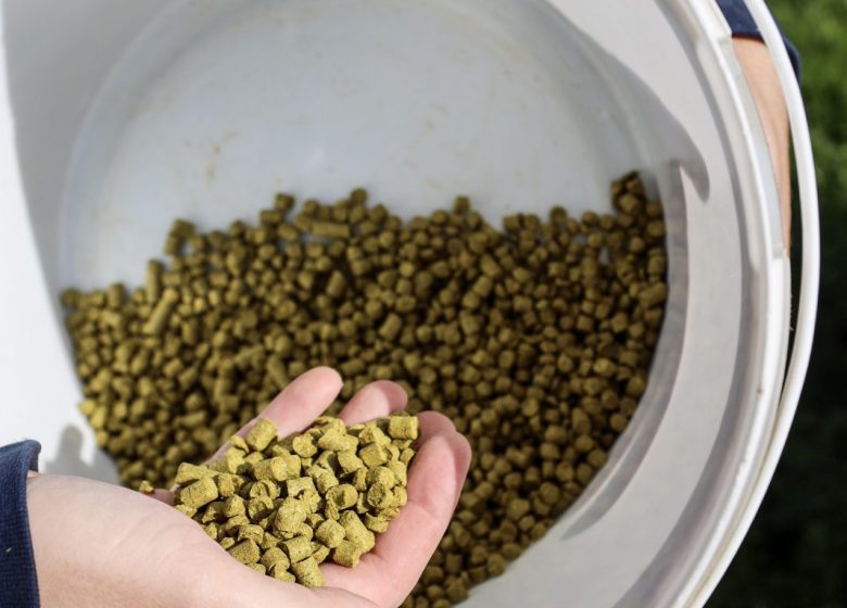 Brasserie The baboon