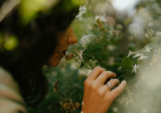 La bulle à parfums & jardin parfumé