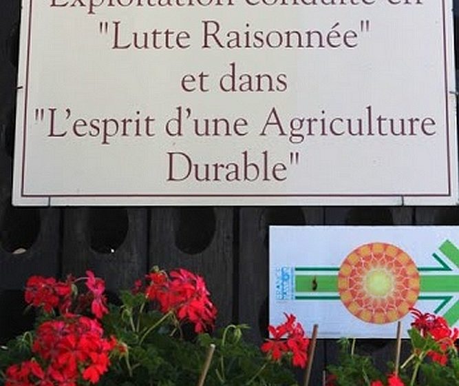 Cellier Saint Benoît