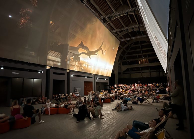 Les Nuits de la Saline – Cinéma Plein air