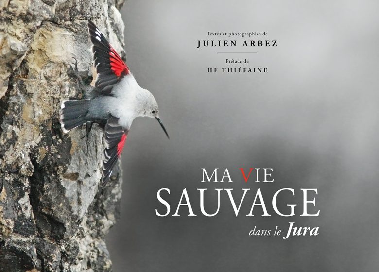 Conférence et projection