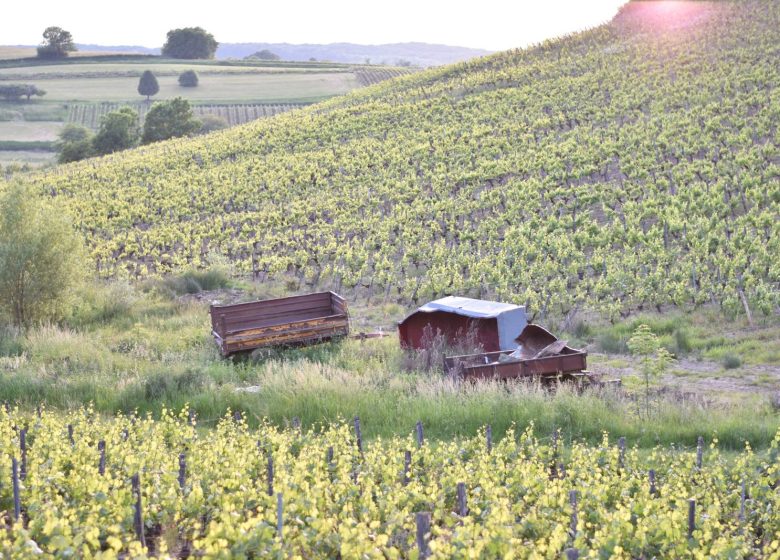 Domaine Fumey Chatelain