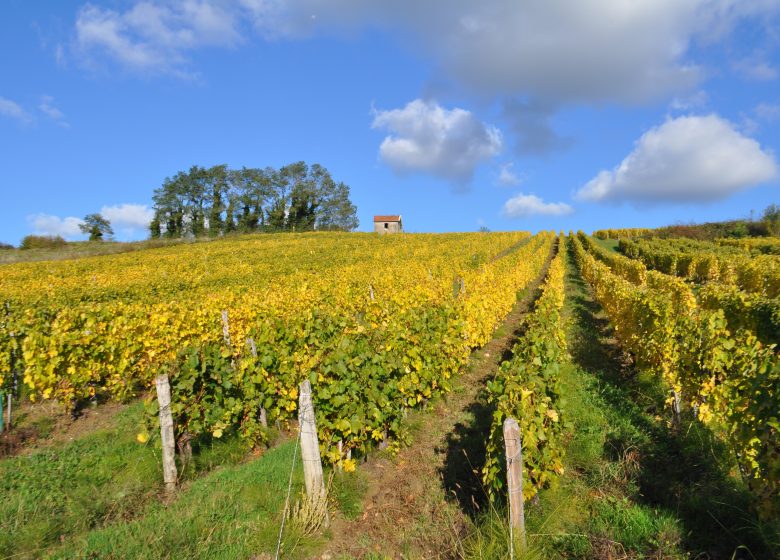 Domaine de la Petite Marne – Noir Frères