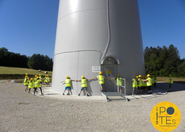 Site éolien de Chamole