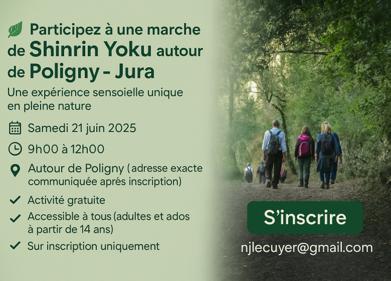 Marche de Shinrin Yoku