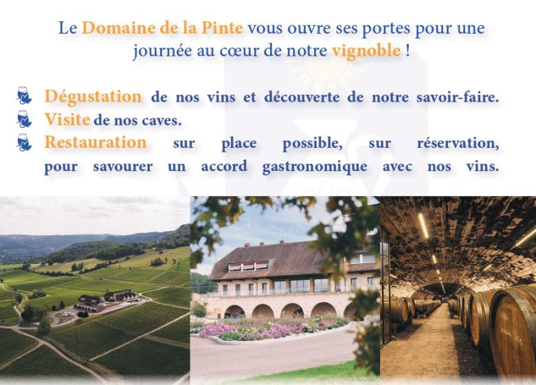 Un dimanche au Domaine de la Pinte