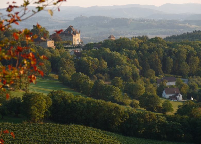Les Maisons Fougère