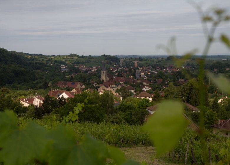 Domaine Hughes Beguet