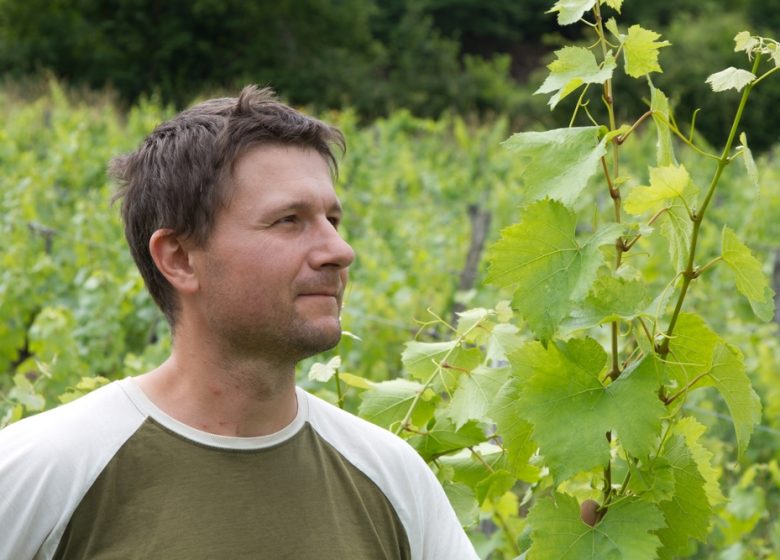 Domaine Hughes Beguet