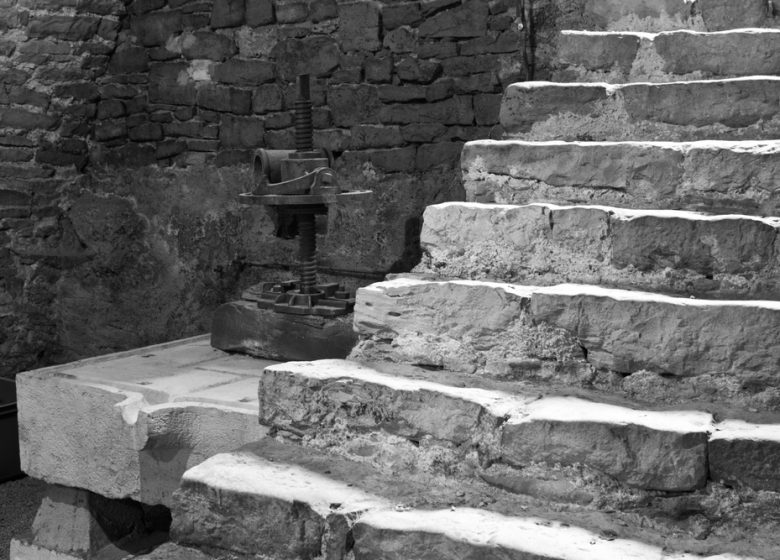 Domaine Hughes Beguet