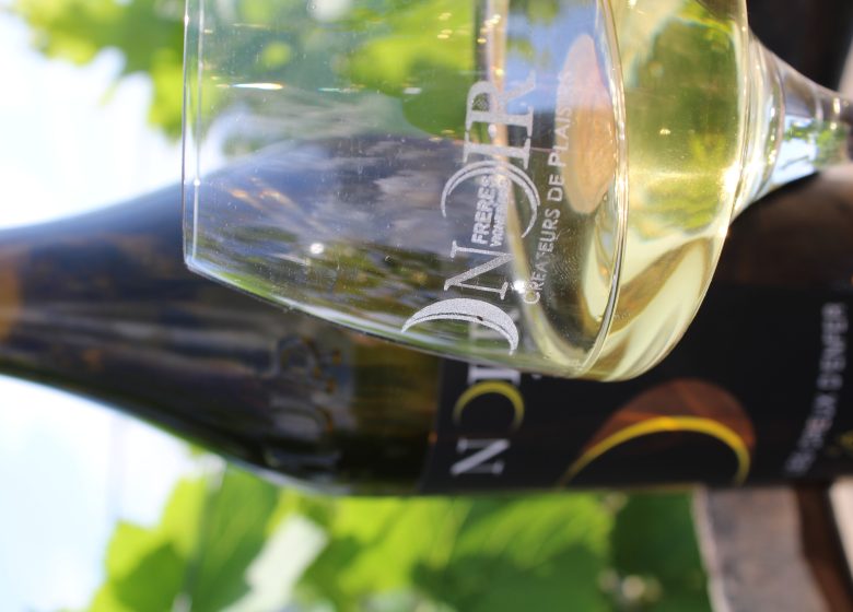 Domaine de la Petite Marne – Noir Frères