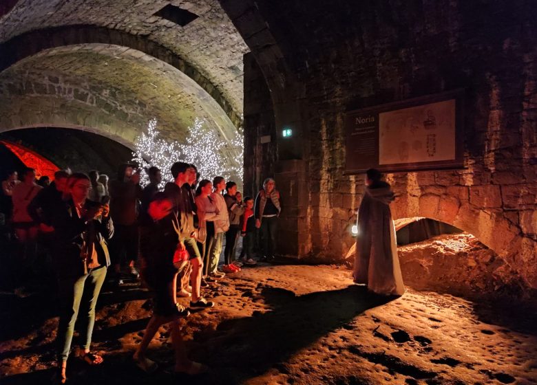L’Eclat de l’Or Blanc : un conte en lumière à la saline