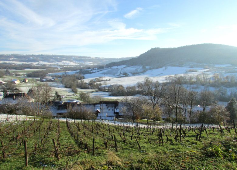 SAINT LOTHAIN