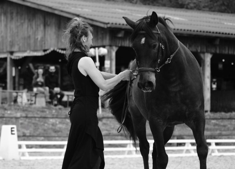 Stage « Métamorphose à cheval »