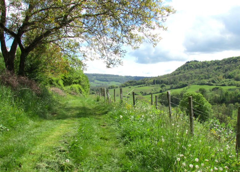 SAINT LOTHAIN