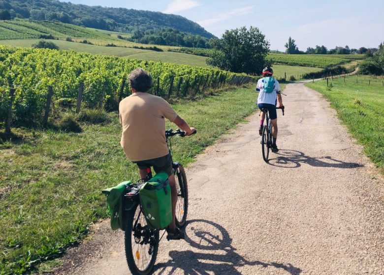 A Tour de Roues