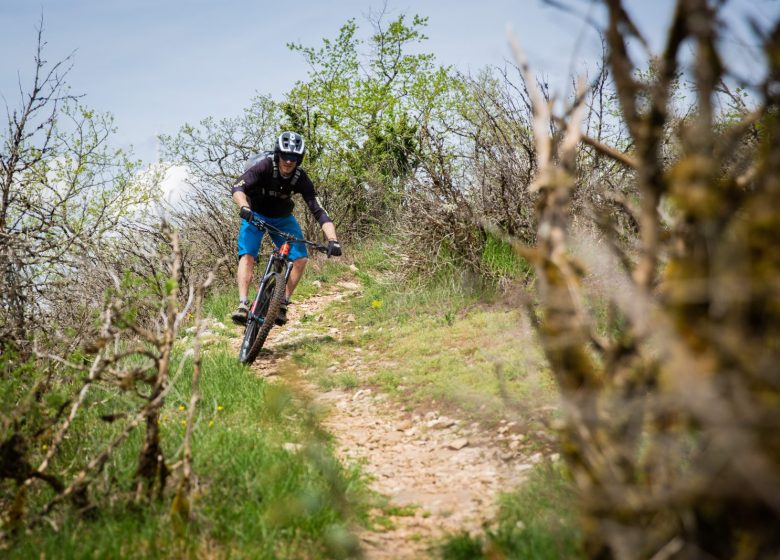 Balade oenologique à VTT – Jura Ride