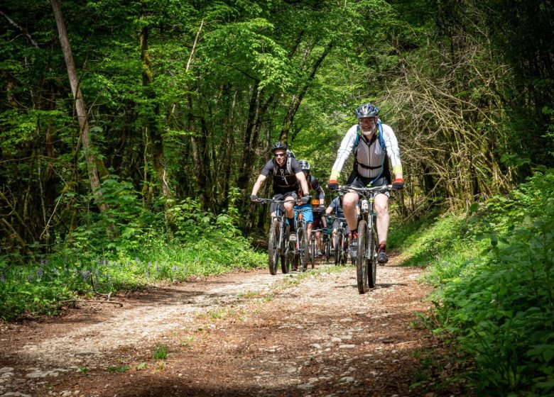 Balade oenologique à VTT – Jura Ride