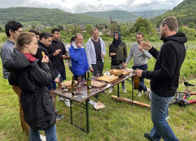 Balade oenologique à VTT – Jura Ride