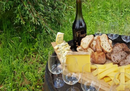 Balade oenologique à VTT – Jura Ride