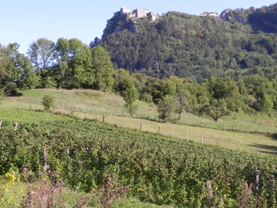 L’Île aux Fruits Rouges