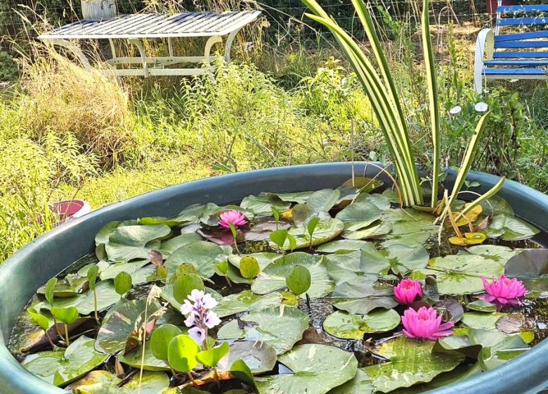 Les Maisons Fougère, bain de nature en Biodiversité