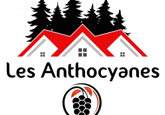 Les Anthocyanes