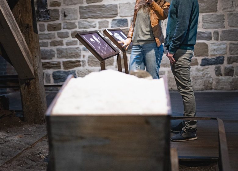Musée du sel et exposition