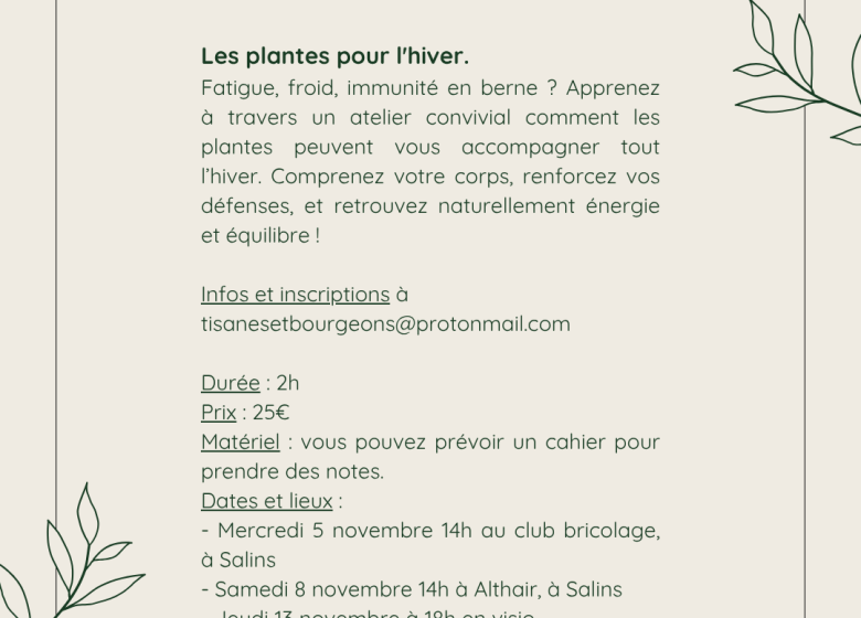 Plantes d’Hiver