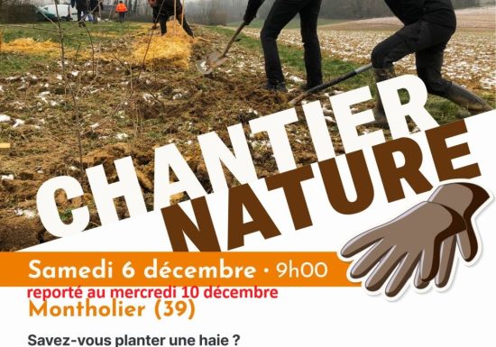 Savez-vous planter une haie ?