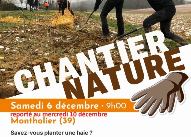 Savez-vous planter une haie ?