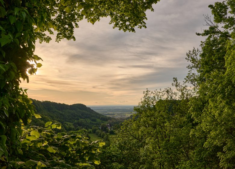 L’Observatoire, Maison Zugno
