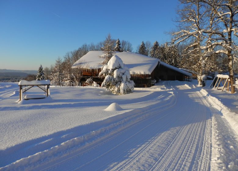 Séjour yoga d’hiver & ski