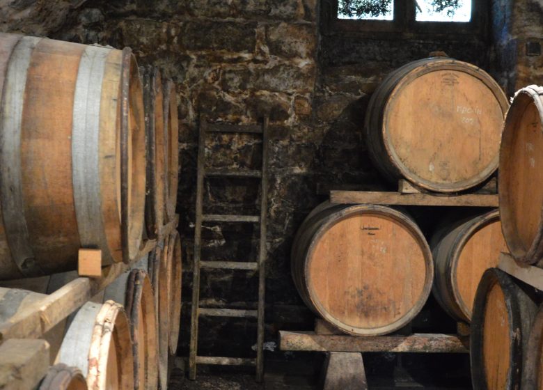 Domaine de la Petite Marne – Noir Frères