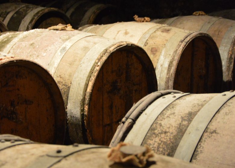 Domaine de la Petite Marne – Noir Frères