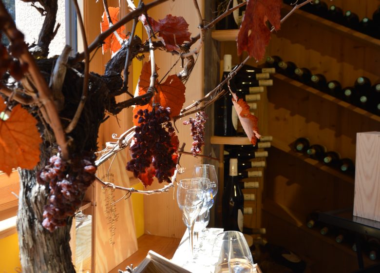 Domaine de la Petite Marne – Noir Frères