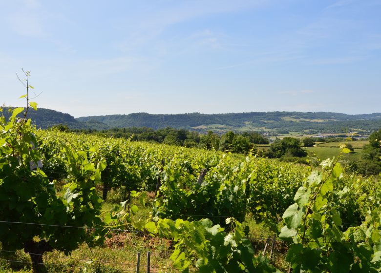 Domaine de la Petite Marne – Noir Frères