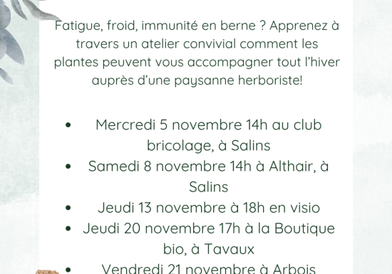 Les plantes pour l’hiver